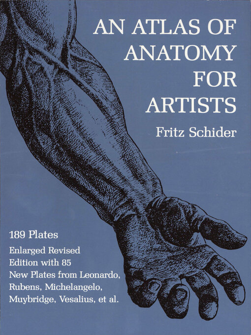 Cover image for An Atlas of Anatomy for Artists